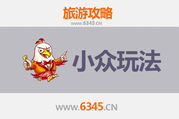 盘锦大洼隐藏玩法指南：探索红海滩之外的生态秘境